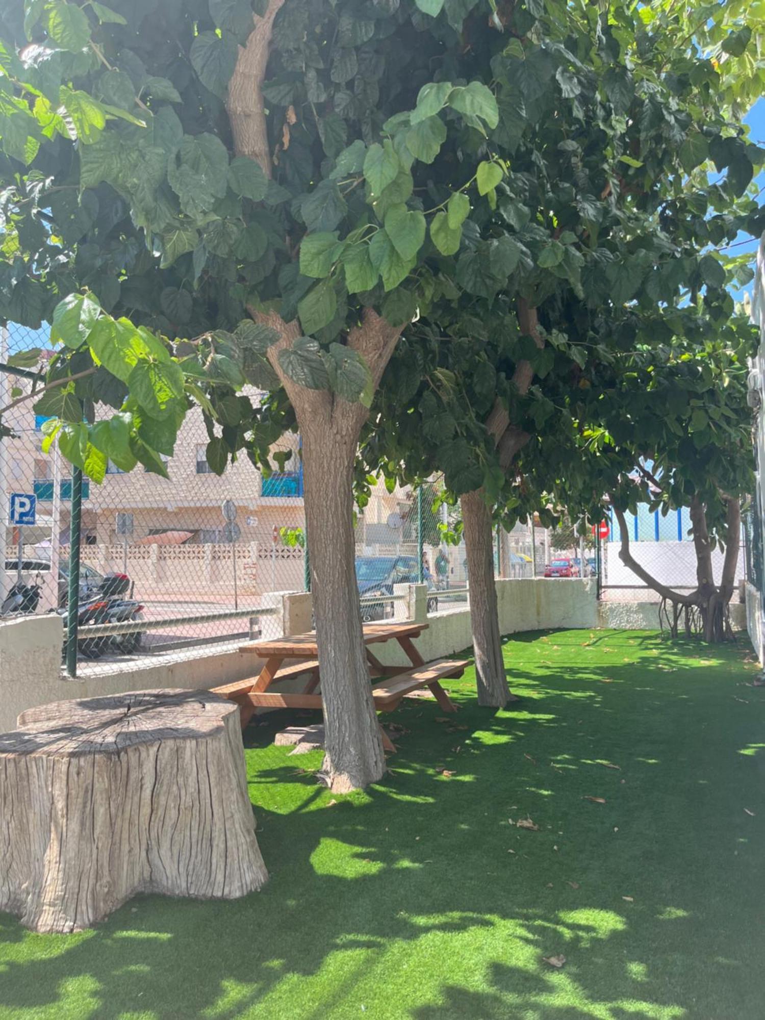 Apartamento 1ª Linea De Playa - Con Piscina Y Parking Playa de Gandia Dış mekan fotoğraf